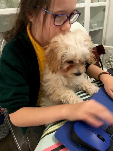 WightFibre's tweet photo. How cute is our newest gamer using the Island's Fastest Broadband 🐶 Wonder what game he was playing? We bet it involved bones 🍖
#Puppy #Gaming #FastestIW #BecauseWeCare https://t.co/qfvj9wvfjS