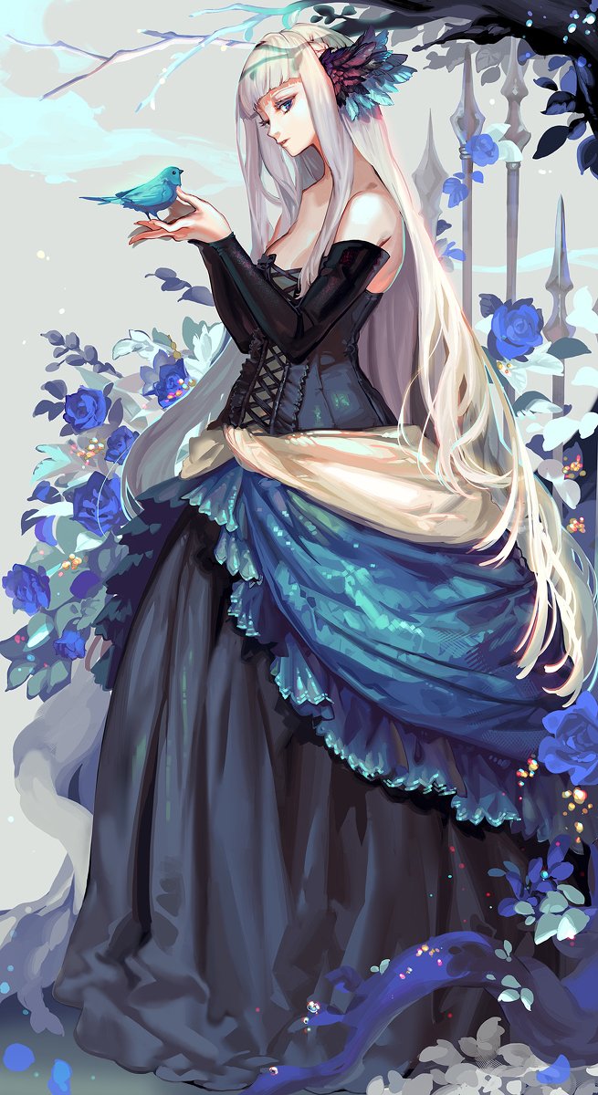 かび on Twitter: