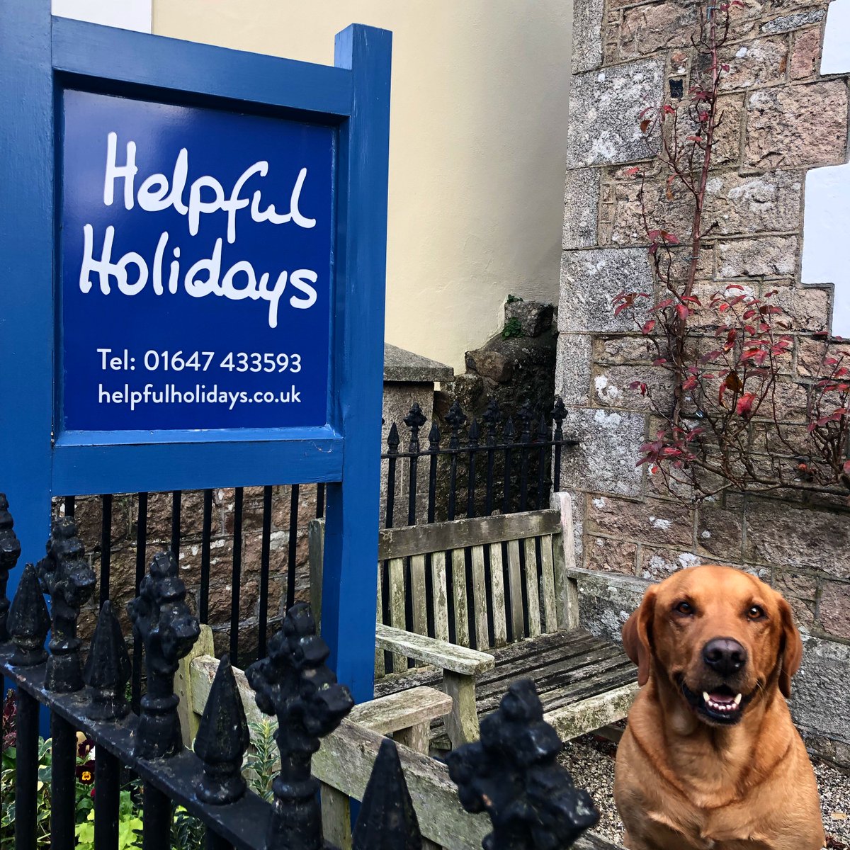 Helpful Holidays On Twitter Cooper Is Visiting The Helpful