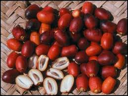 سعرات#الفواكه
البلح#
السعرات الحرارية لكل 100 جرام:214

#رجيم #دايت #انحف #السمنة #فتنس #صحة #رشاقة #رياضة #جسم_صحى #حياة_صحية #تكميم #رابطة_المتكميمين
#Mystc_يوصل_شريحتك
#شي_استحاله_تسويه
#اسمك_الحقيقي