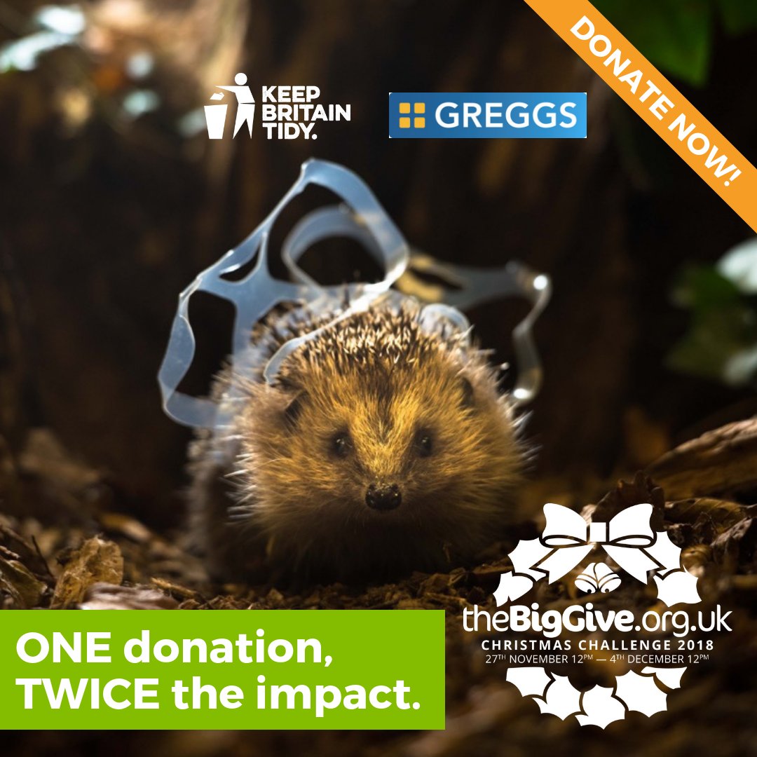 The <a href="/BigGive/">Big Give</a> #ChristmasChallenge18 is now LIVE! Please support our campaign to prevent millions of small mammal deaths caused by #litter. Donate now: bit.ly/2Q4MWeI 💚🦔 

#GivingTuesday #thebiggive #biggive #givebig #endlitter #stoplitter #keepbritaintidy #litterheroes