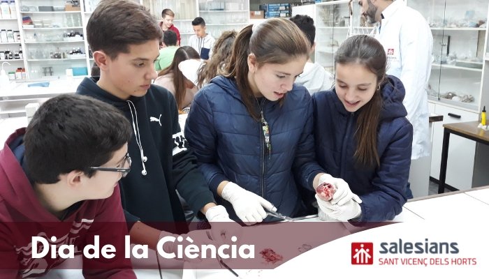 Salesians_SVH's tweet photo. La ciència EN VIU I EN DIRECTE!!! 👩🏼🔬
Dijous vam celebrar el #diaDeLaCiència en el marc de la #sc18cat promoguda per @ensenyamentcat, conjuntament amb la @fundaciorecerca.
I així és com va anar 👉🏼https://t.co/RBao0znZVT https://t.co/kteBaX7Yef