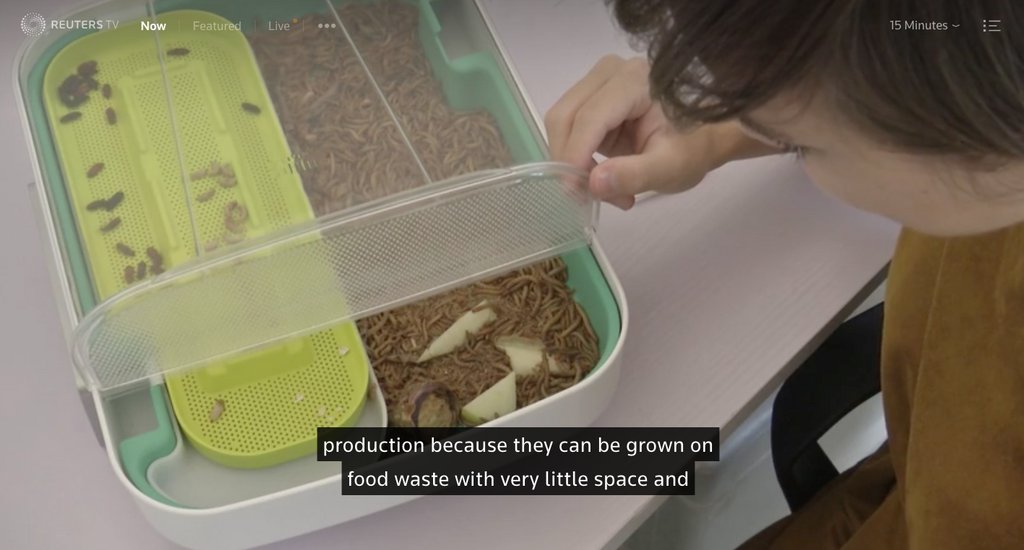Livinfarms's tweet image. Worms for Dinner? We're in the news today! @ReutersTV check it out: bit.ly/hivenow #startup #sustainability. be cool&amp;amp;get the #HiveExplorer now to support this awesome movement bit.ly/hiveexplorer #edibleinsects #mealworms #zerowaste #education #Kickstarter #STEM