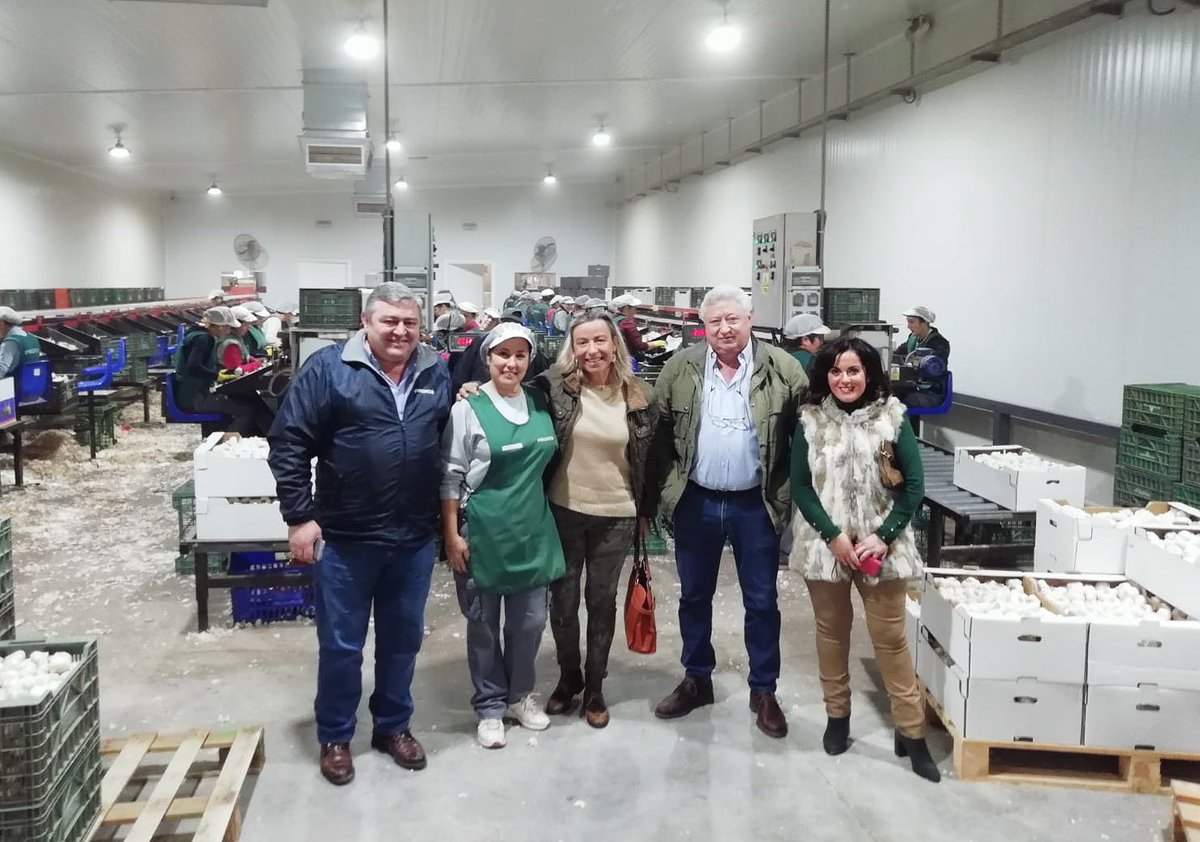 CsCordoba_Prov's tweet photo. Nuestra candidata @isabelalbas ha visitado #Cabra esta mañana 🍊✅
➡️ Ha visitado #PROACO, que cultiva desde hace más de 50 años diferentes productos agrícolas
➡️ También ha estado en el Mercadillo explicando nuestro proyecto a vecinos y comerciantes
#AhoraSíCs https://t.co/jc8fdQAjf2