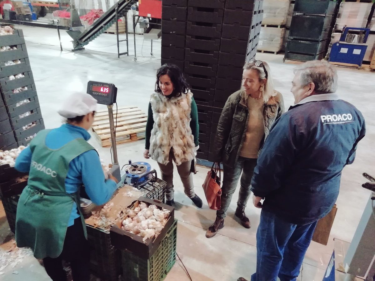 CsCordoba_Prov's tweet photo. Nuestra candidata @isabelalbas ha visitado #Cabra esta mañana 🍊✅
➡️ Ha visitado #PROACO, que cultiva desde hace más de 50 años diferentes productos agrícolas
➡️ También ha estado en el Mercadillo explicando nuestro proyecto a vecinos y comerciantes
#AhoraSíCs https://t.co/jc8fdQAjf2