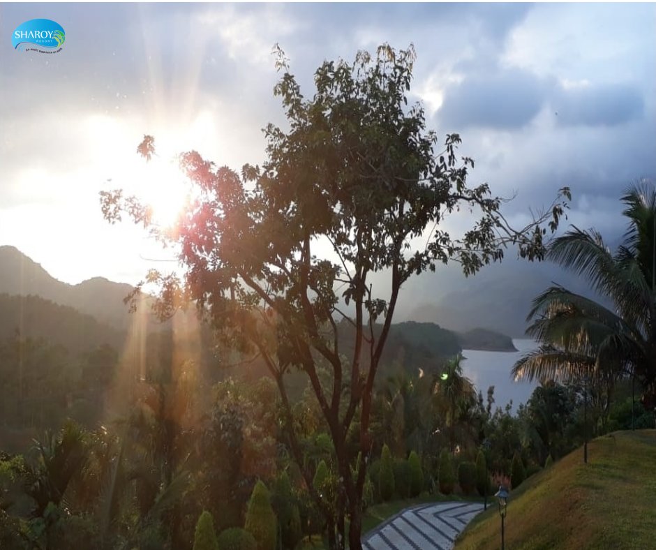 SharoyResort's tweet photo. #day #wayanad #archery #banasuradam #filmphotography #kerala #godsowncountry #naturewalk #boating #bestviewresortsinwayanad #swimmingpool #fashion #resortsinwayanad #wayanadresorts #godsplan #pedal #cricket #ayurveda #spa #naturephotography #hollywood #bollywood #India #lifestyle https://t.co/l35CZZBqfr