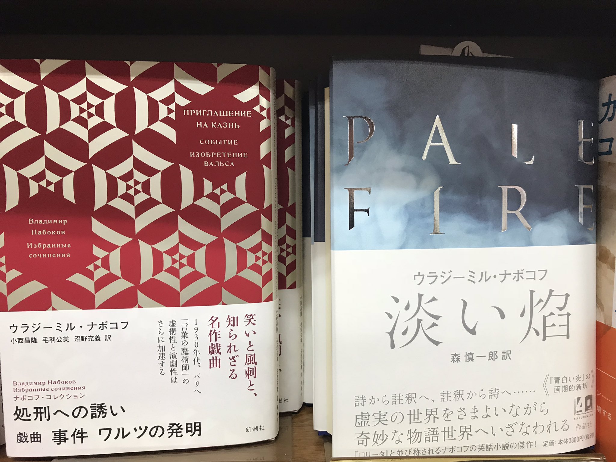 淡い焔/作品社/ウラジーミル・ナボコフ（単行本） Amazon.co.jp: 淡い焔 : ウラジーミル・ナボコフ, 森慎一郎: 本