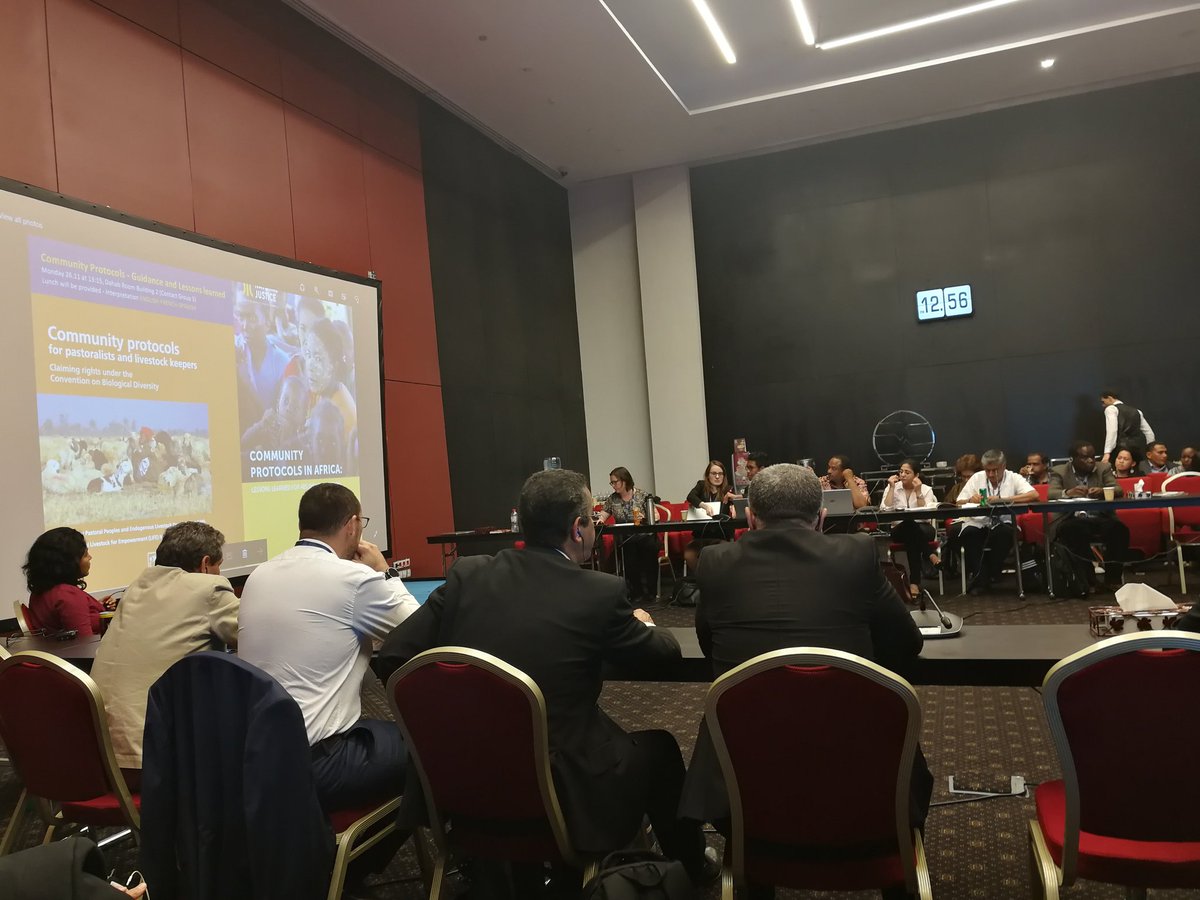 ranasalehsaleh's tweet image. Engage local communities  is key in the preparation of #CommunityProtocol   to access and benefit sharing of #GeneticResources @nagoyaprotocol @UNBiodiversity #EgyptCOP14