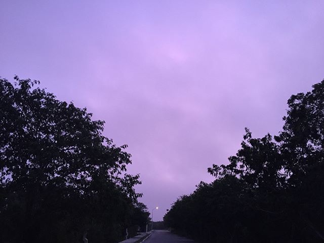 ruben_encalada's tweet photo. Purple sky.....
.
.
.
#yucatan #mexico #travel #whileontour
#visityucatan #world_photography_club #natgeo #lonelyplanet #worldnomads #thisisadventure #explore #natgeotravel #nakedplanet #travelgram #traveler #photooftheday #visitmexico #igersmexico #mexโฆ https://t.co/8OLzkN61HT https://t.co/bbfqKNyXMd