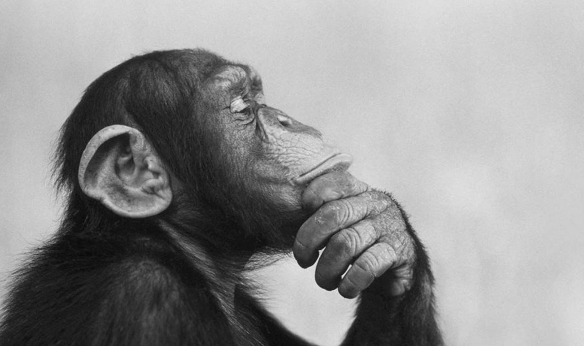 dani_94rm's tweet photo. " Es mejor debatir una cuestión sin llegar a concluirla, que llegar a una conclusión sin debatirla "
#paskafd https://t.co/fK7UhYHlJz