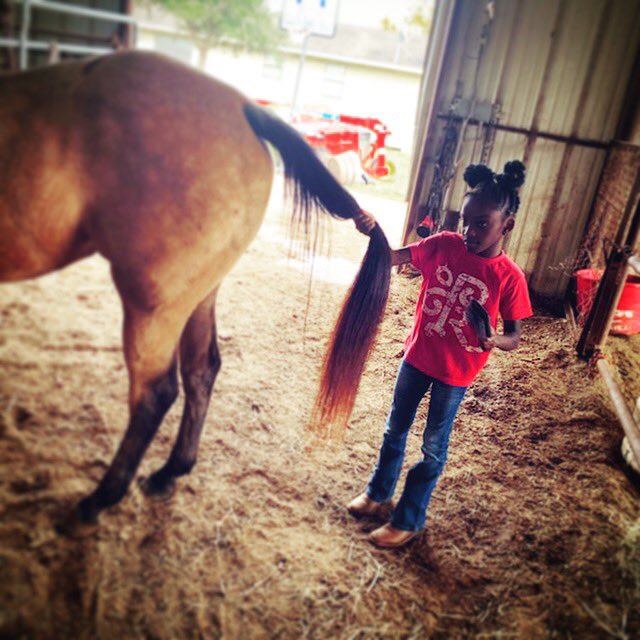 SamBoDee3's tweet image. What u see is here is the future 9 year old Jaela rocking her #PPR shirt while grooming and feeding her horse ..... Be sure to place your order today ..... Thanks #westernwear #cowgirl #rodeo #ppr #cowgirlstyle #nfr #countrygirl #horses #barrelracer #playdays @PearRodeo