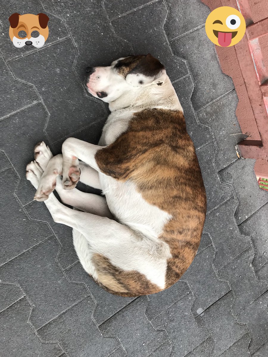 Uyuyoruz arkadaşlar biraz yavaş 
#komedi #laf #arkadaşlar