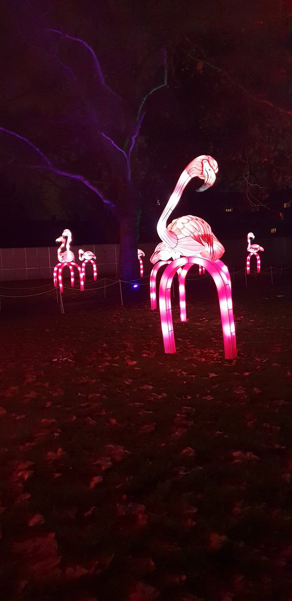 TravelMole's tweet photo. Alice in Winterland Southwark opens this week..worth a visit @GoldenTours @TravelMole https://t.co/ANPSK6MRgY