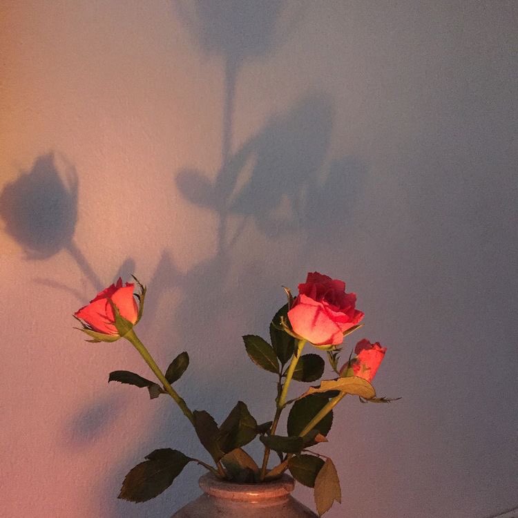 𝐊𝐢𝐧𝐠𝐦𝐢𝐧𝐭🥀🥨 tweet media