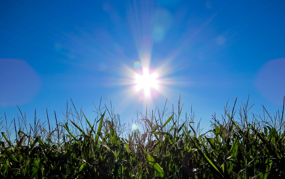 PublicStrategy's tweet photo. Solar projects abound in the U.S. and public opposition follows. Check out the latest article by PSG President, Al Maiorino on strategies for building public support. https://t.co/ckWUrNo8v5 https://t.co/ZgMeID9qxg