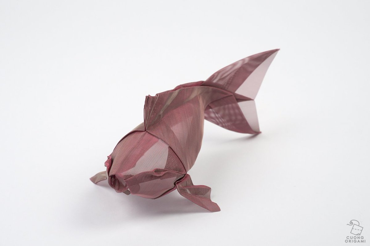 Cuong NGUYEN tweet media