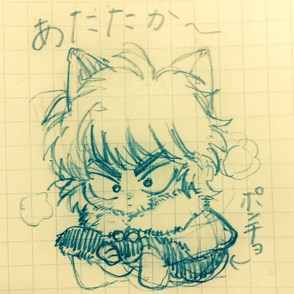 れとろさんとこのけまにゃん🌷 