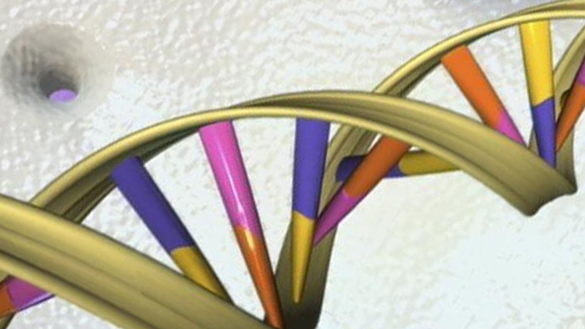Wrong in every way: If his claim is true, a #ChineseResearch scientist says he could have created the world's first genetically edited babies | @rajeshwaridotg | ow.ly/yMHp30mKBMC 
#GeneEditSummit  #CRISPR