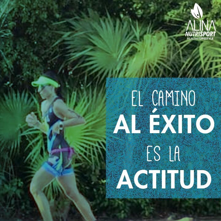 Alina NutriSport tweet media