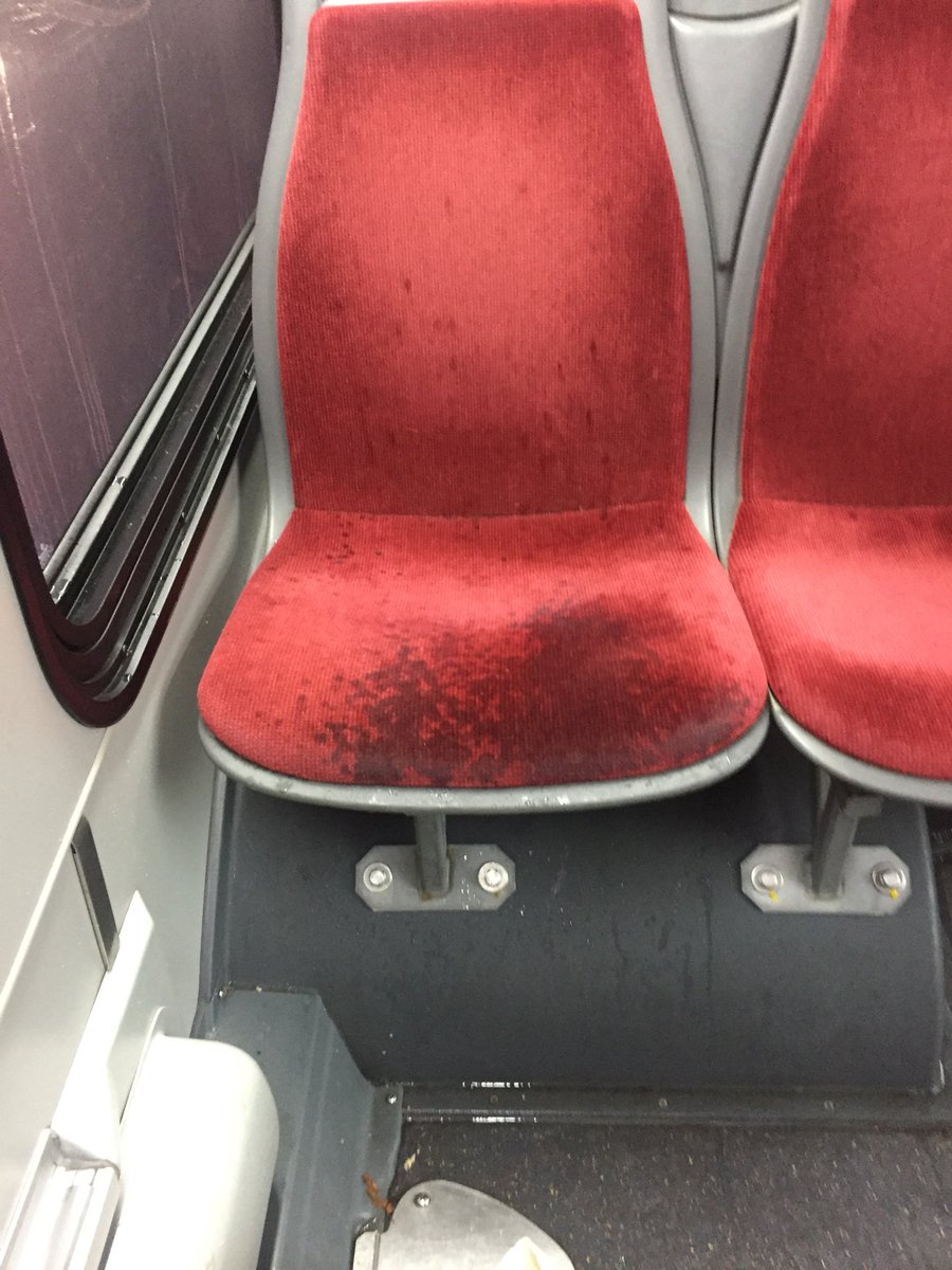 VanessaBellido's tweet image. Nothing but quality in the new buses 🤦🏻‍♀️🤦🏻‍♀️ in the rain the buses leak #ttcproblems @TTChelps