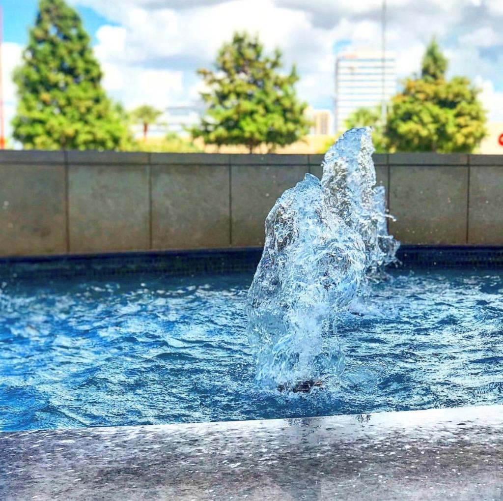 Another beautiful day in Memorial City!