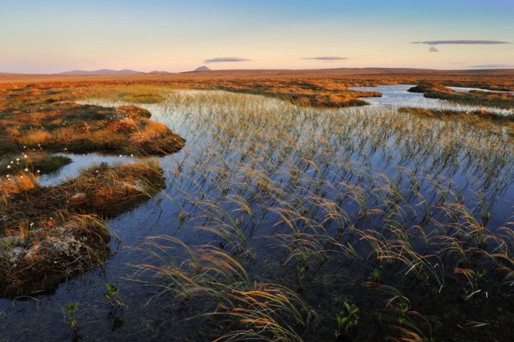NatureScot's tweet photo. We are investing in #naturalcapital such as #peatlands and #greeninfrastructure to help reduce the impact of flooding on communities as a result of rising sea levels and likely increased winter rainfall predicted by #UKCP18 #PreventativeSpend https://t.co/tPscWp6RYu