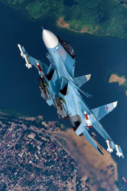 AnFoxl's tweet photo. Какой красавчик 😍 
СУ - 30 СМ https://t.co/mYaIjwyldW