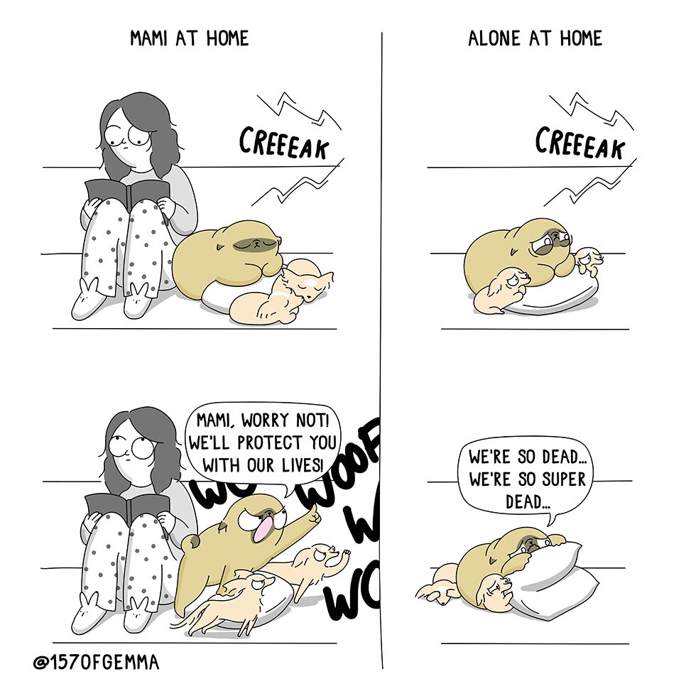157ofgemma's tweet photo. Tengo los mejores perros guardianes... siempre y cuando yo esté con ellos en casa 🤦🏻♀️
Qué hace tu perro/a cuando está solo/a?
.
#mochithepug #157ofgemma #puglife #pug #comic #pugcomic #mydogist #mochi #webcomic #comicstrip #animaladicts https://t.co/NVFbKH5A2X