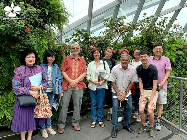 OrchIDEENKarge's tweet photo. OrchIDEEN in Singapur! 
 Orchideen Bewertungs-Workshop zusammen mit Mitgliedern von OSSEA
 Tolle Pflanzen, in toller Umgebung mit sehr netten Leuten 🙂
 #OSSEA #Blume2000 #Orchideenblume2000 #orchid #orchids #Orchidee #Orchideen #Orchidaceae #Orchideengarten https://t.co/9XnVWE3CdQ