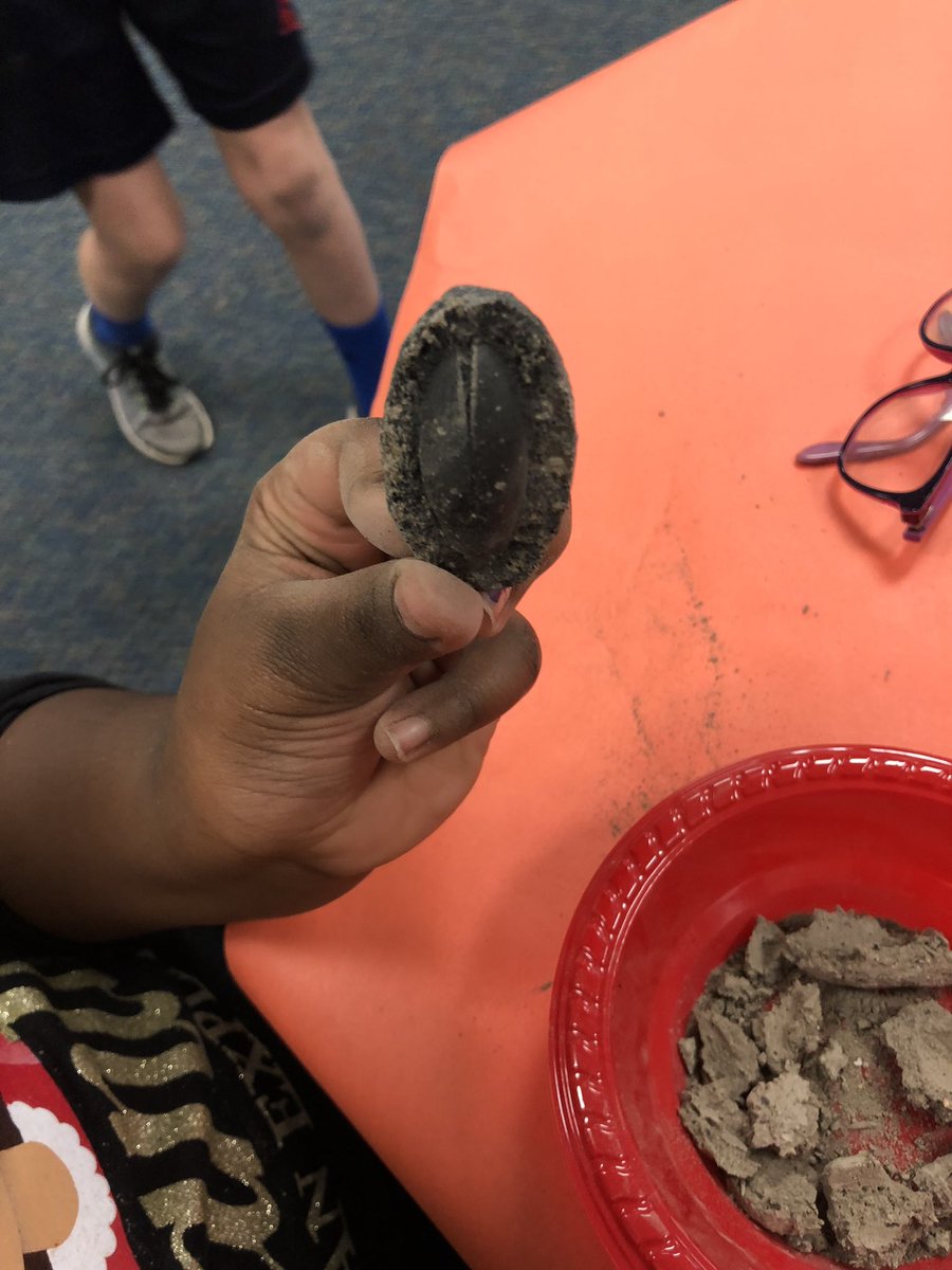 lklankford's tweet photo. 2nd graders digging into some fossils during EL labs! @ELeducation @GreenESLeaders @MrsSchmidtSays https://t.co/MRo5k161jv
