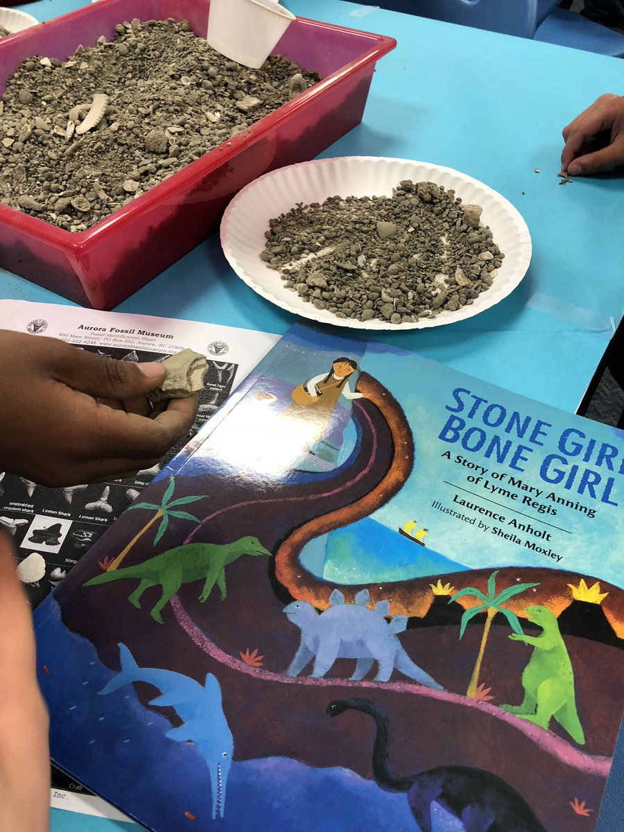 lklankford's tweet photo. 2nd graders digging into some fossils during EL labs! @ELeducation @GreenESLeaders @MrsSchmidtSays https://t.co/MRo5k161jv