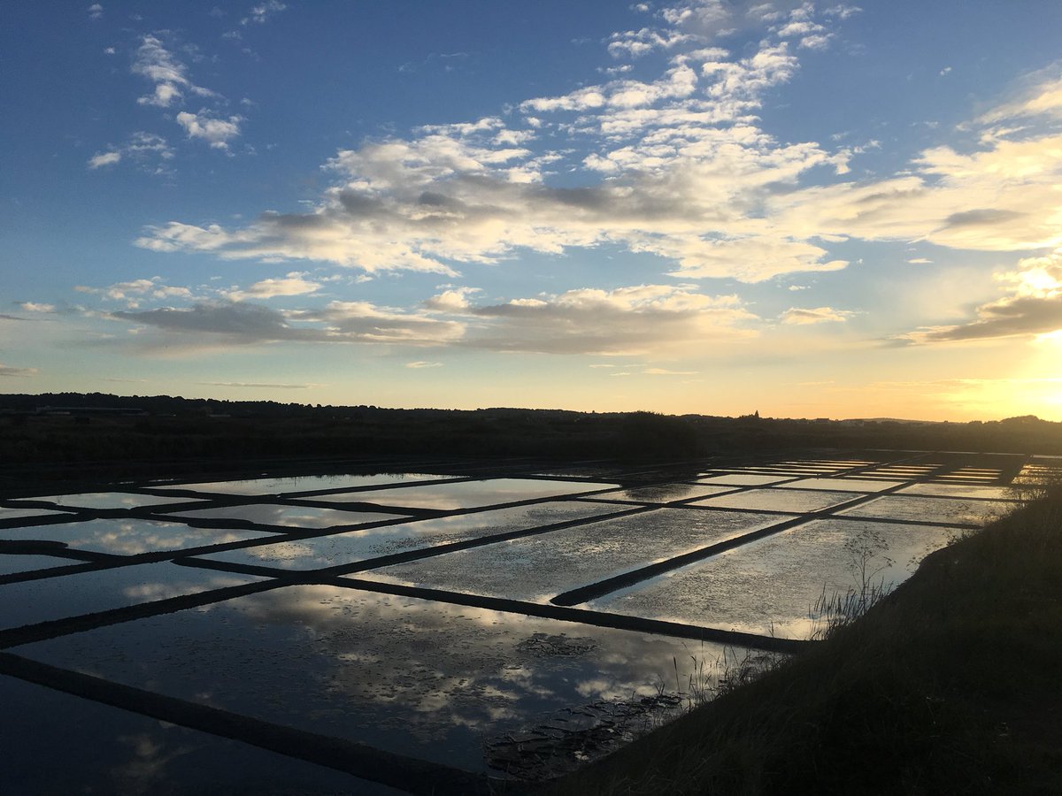 Gsterre's tweet image. Superbe vue sur les Marais Salants de Guérande merci @gachenot #LoireAtlantique ma #Bretagne #44Bzh #BaladeSympa #MagnifiqueFrance