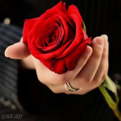 مشتاق”
صدقيني لشوفك ولقياك
وكل العيون بلا عيونك ممله
اسمك على لساني وشوقي لملقاك
ورسمك ترى بوسط قلبي محله
كل املي تجمعني الايام “وياك”
يامالك “القلب” مع العقل كله