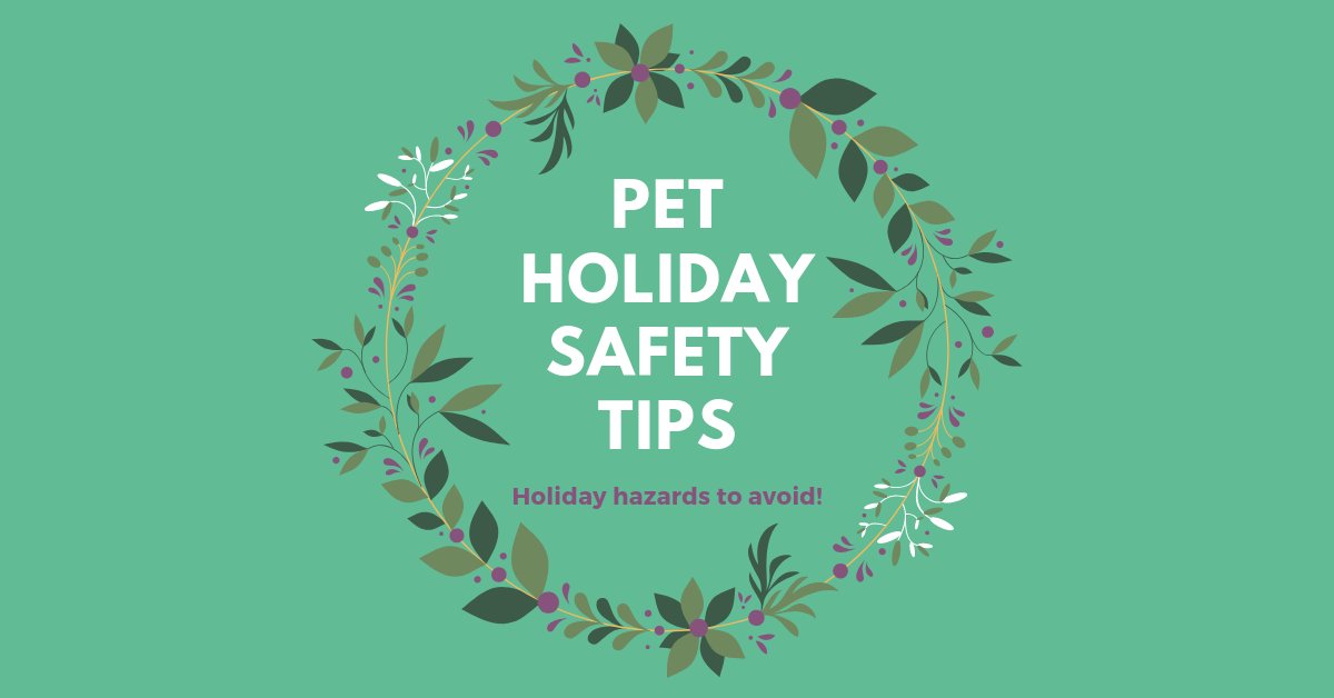 Pet Holiday Safety Tips: Holiday Hazards to Avoid [INFOGRAPHIC]: bit.ly/2DIzKFY #PetOwner #Infographic