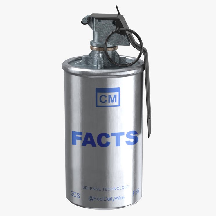 realDailyWire tweet picture