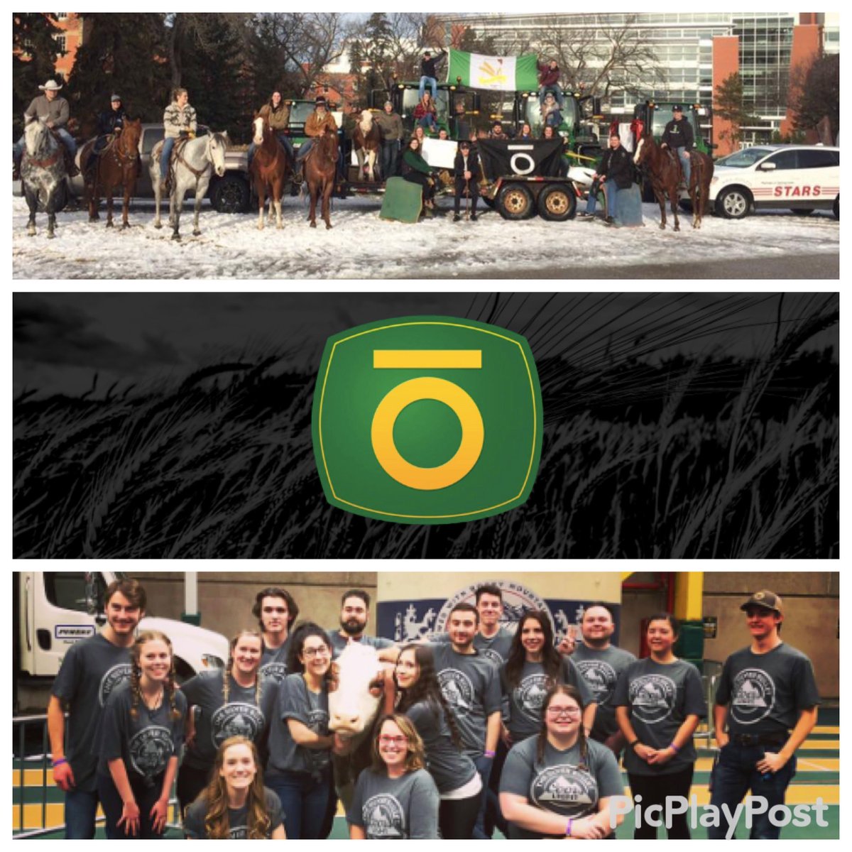 KallalChris's tweet photo. Congrats @UofA_aggies on yet another successful #barnone72, a huge point of pride for @UAlberta and @UofAALES faculty in support of a great cause, @STARSambulance! Love the intra-faculty volunteer support - well done #forestry students! https://t.co/Hb28qJt8nE