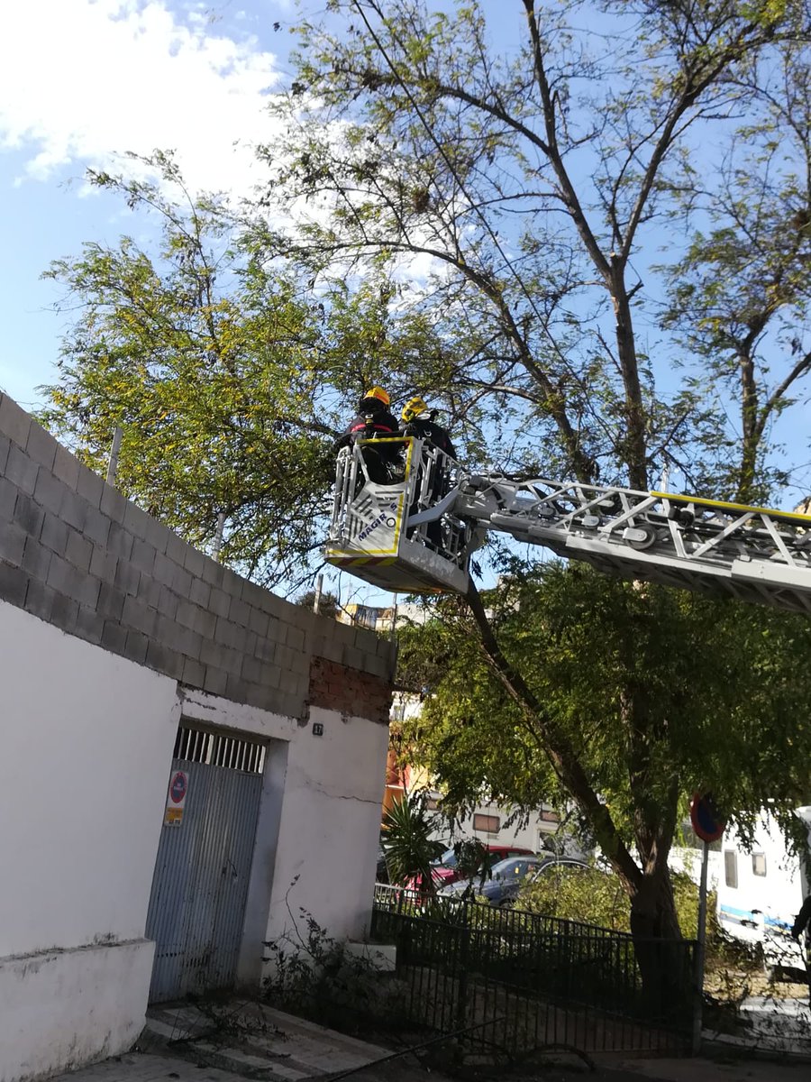 encierrobombmlg's tweet photo. En San Alberto, #Bomberos 👨‍🚒👩‍🚒 de #Málaga podan dos árboles, uno caído sobre caravana 🚙, otro inclinado y apoyado en barandilla de un arroyo que podía caer sobre casa 🏡

#RCBMPorTi https://t.co/gwHmKgyquy