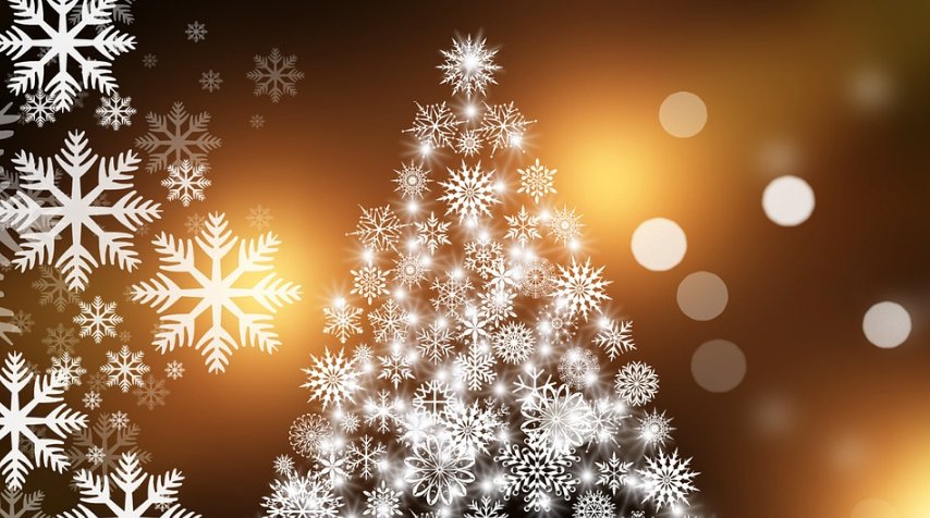 The <a href="/HarbourGalleryJ/">The Harbour Gallery</a> #Christmas Exhibition is on now &amp; running until January 6th! ow.ly/4QWt30mKXBy 🎁 🎄#JerseyCI