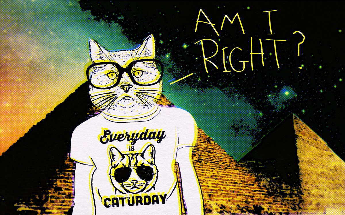 ShirtsarecoolFL's tweet photo. ALL DAY EVERY DAY. 25% off with code CYBERMONDAY. Get the shirt: https://t.co/vmDcgH9WlX https://t.co/ousgjikwE1