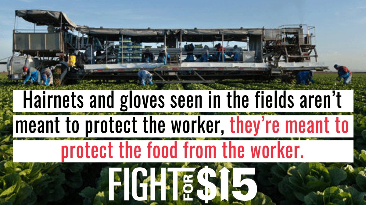 FightForAUnion's tweet image. The brunt of the instability in the agricultural sector is borne by the women and men who work in the fields. Solidarity with farmworkers bit.ly/2PHe7Zs #FightFor15