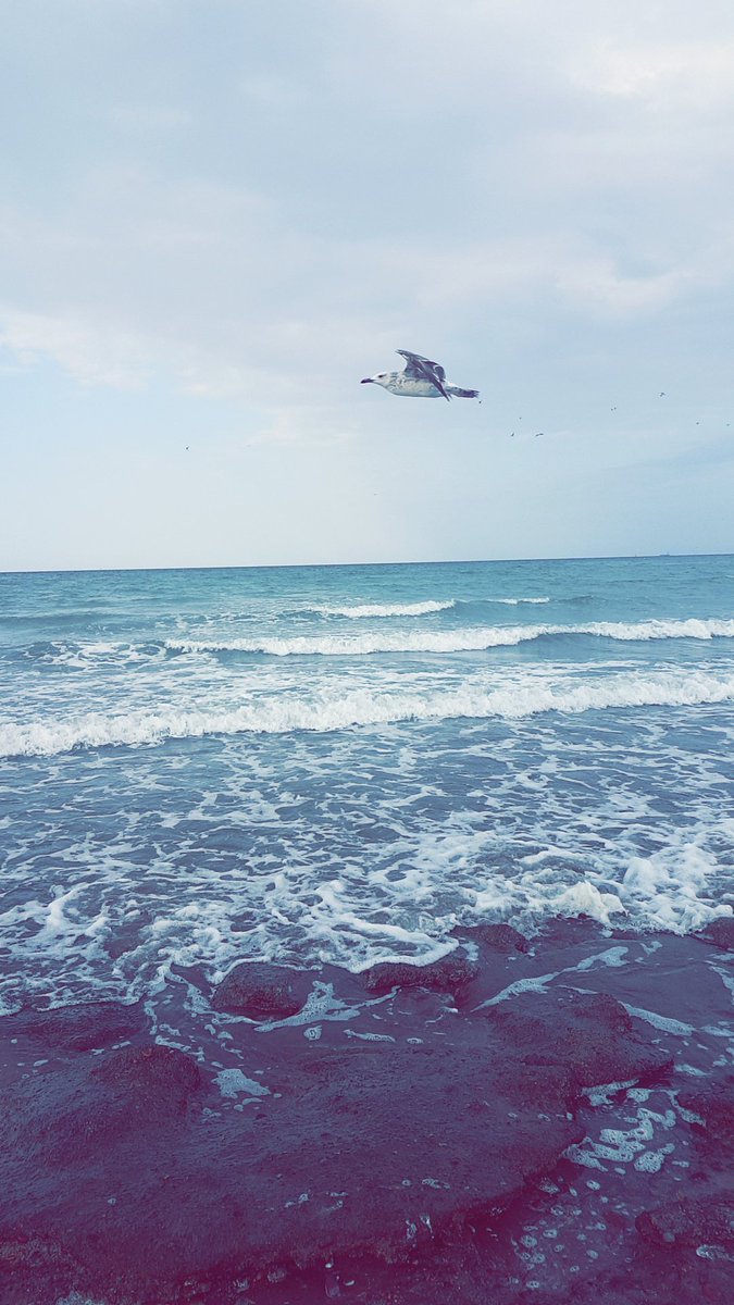 _Fatma94_'s tweet photo. جمال البحر والجو 💙 https://t.co/KpD11rWOgO