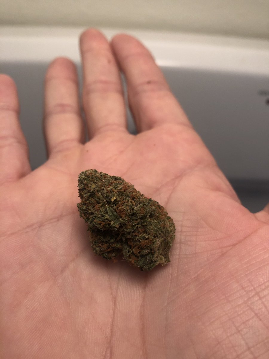 outsidehash's tweet photo. small nug of #OG #18 from farm fresh here in #Arizona... was told this is the best cured marijuana in the state.. https://t.co/mDLKy5ugQ9