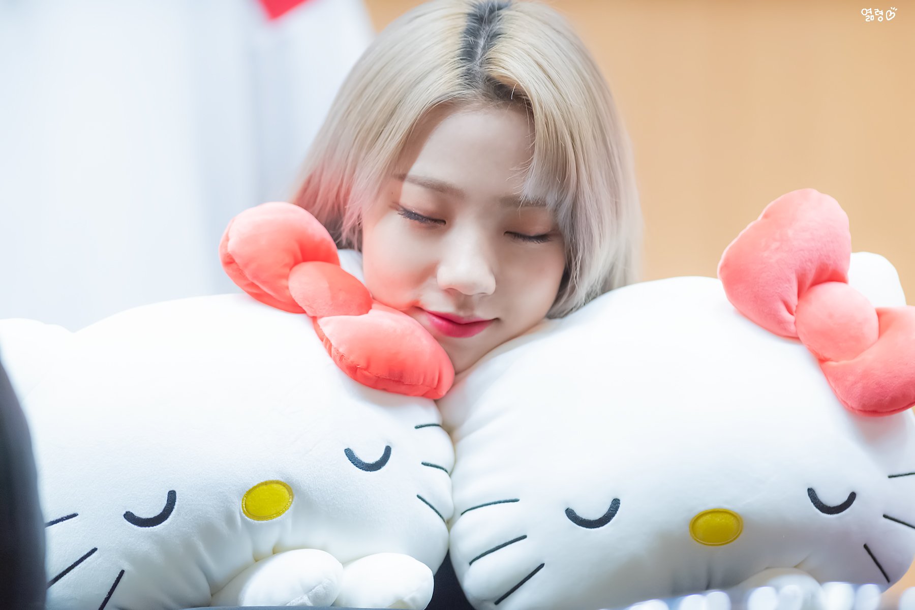 Ds8FrksUUAEmaTy.jpg:orig