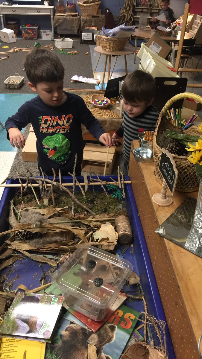 jenna_cowell's tweet photo. Exploring our bear habitat sensory table @LPSStormWatch! #problemsving #collaboration https://t.co/CuCvGvq8Rb