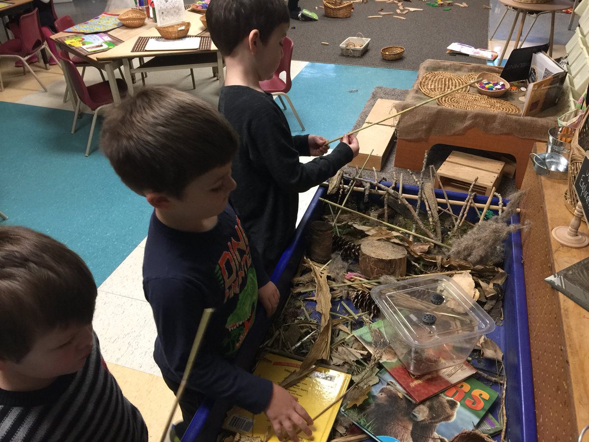 jenna_cowell's tweet photo. Exploring our bear habitat sensory table @LPSStormWatch! #problemsving #collaboration https://t.co/CuCvGvq8Rb