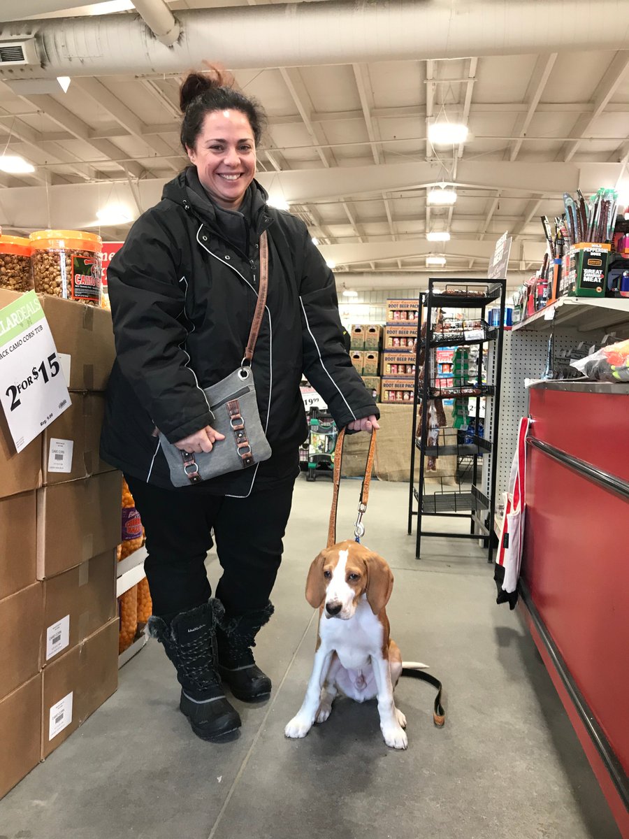 TSCStores's tweet photo. We love it when pets come to visit our store! Below is Louie visiting TSC Smiths Falls for some treats with his new mom. #TSCLovesPets #petfriendly #TSCcommunity https://t.co/I8TJ4jvcSI
