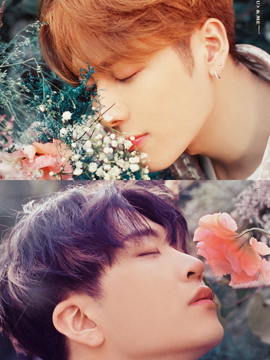 igot7jackjae83's tweet photo. อหหหหหหห.ลงตัวจัง😭💕
#JackJae https://t.co/d9yxeuveL7