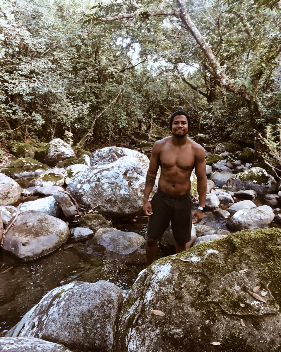 José Esteban tweet media