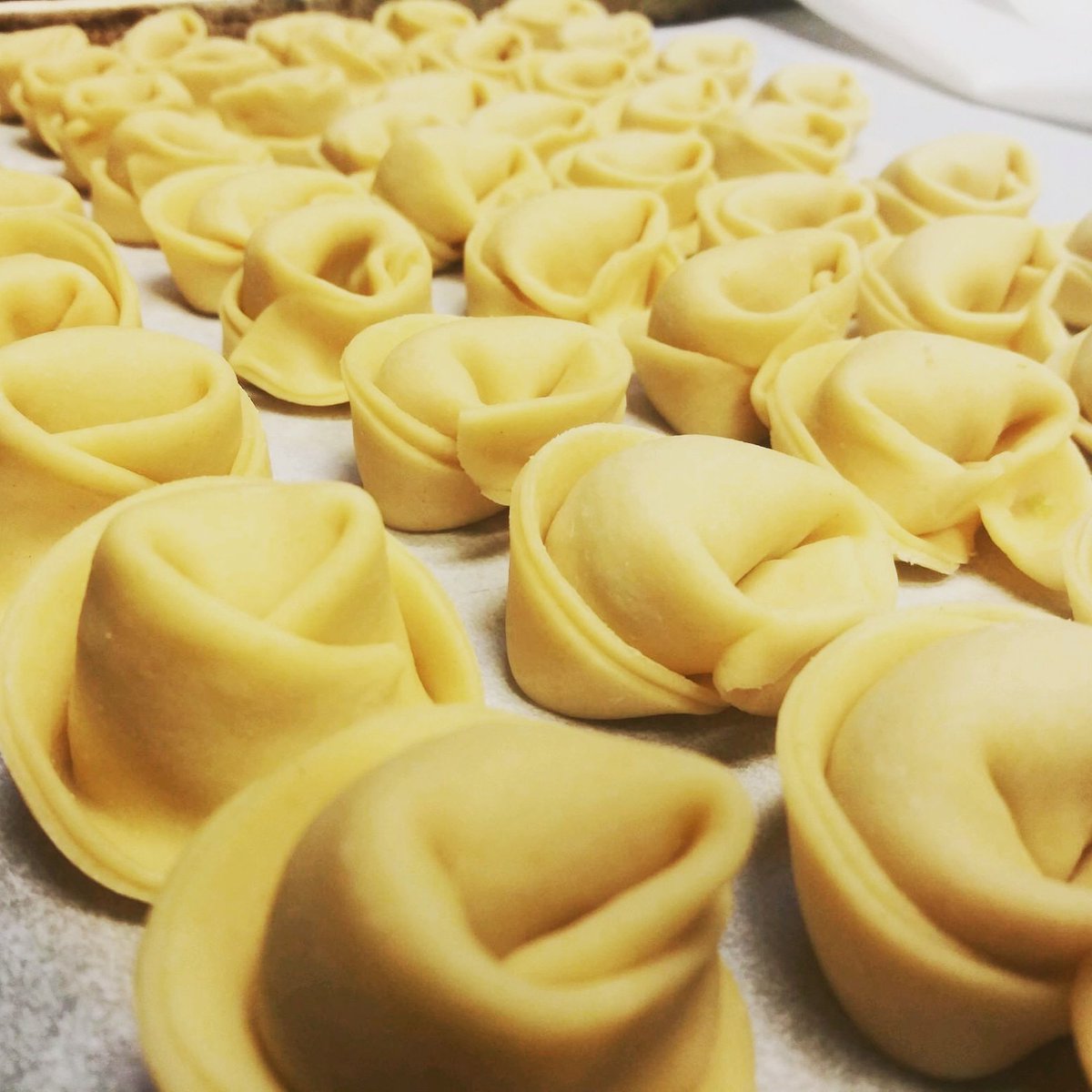 LentoRestaurant's tweet photo. Open Monday with a Pre-fixe $25 3 course menu with lots of options. Lobster and shrimp tortellini is just one. #MondayMotivation https://t.co/b32dq7598G