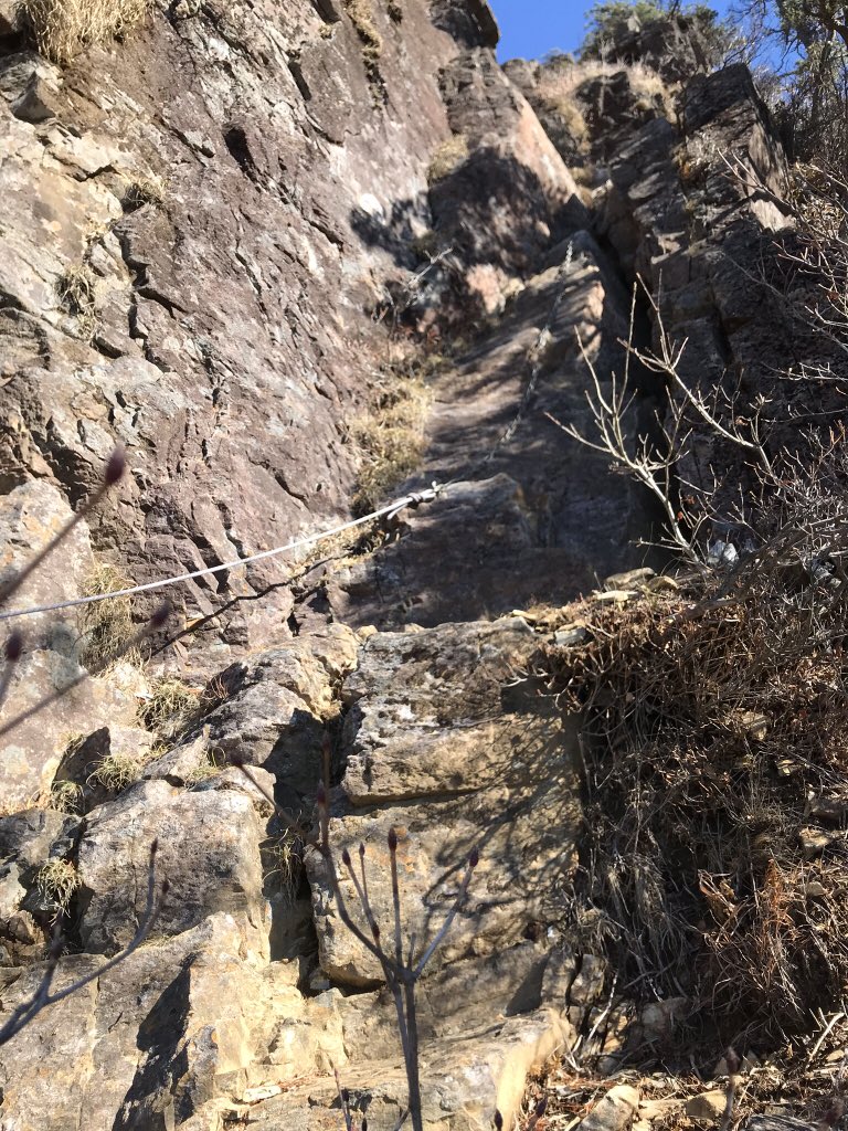 yukagoon's tweet photo. 11月24日は、1605mある大分県の傾山に登りました。登山口からの高低差1223mもあり、久々に大腿部の筋肉痛になりました！😅難所も多く緊張しましたが、8時間半の楽しい楽しい登山でした！⛰✌️ https://t.co/NvFVl2nuQO